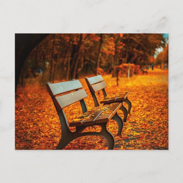 Carte Postale Bancs de jardin à l'automne (Devant)