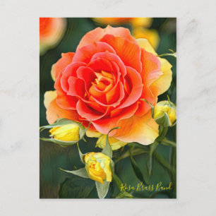 Carte Postale Bande de laiton Rosa [Carte postale]