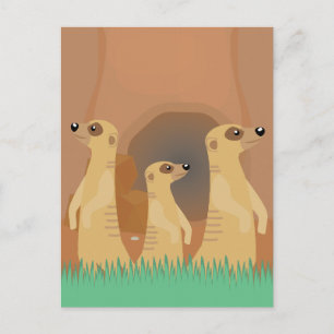 Carte Postale Bande de suricates