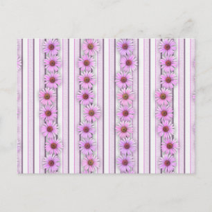 Carte Postale Bandes de fleurs d'échinacée