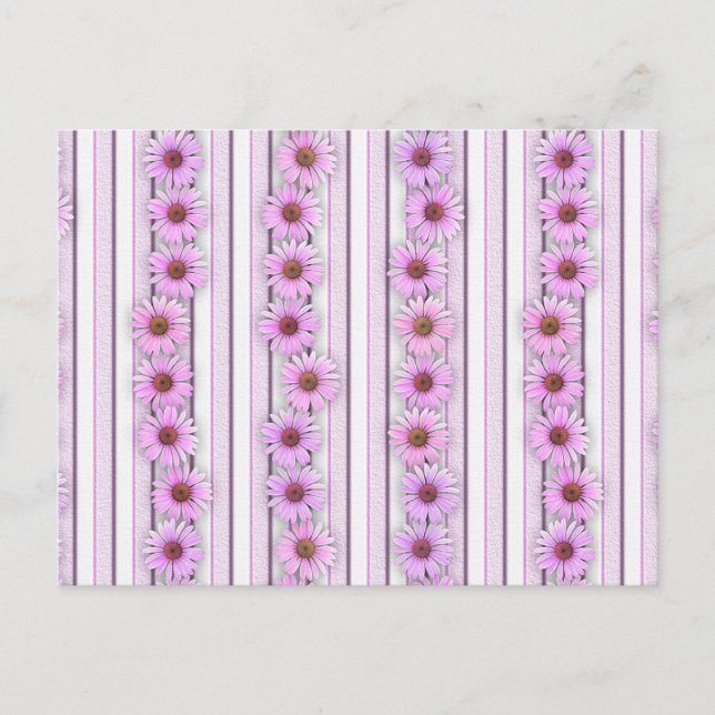 Carte Postale Bandes de fleurs d'échinacée (Devant)