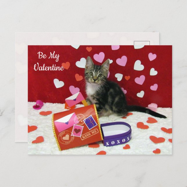 Carte postale Bandit La Saint Valentin du chat (Devant / Derrière)