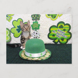 Carte Postale Bandit's St. Patrick's Day Cat / Kitten Postcard