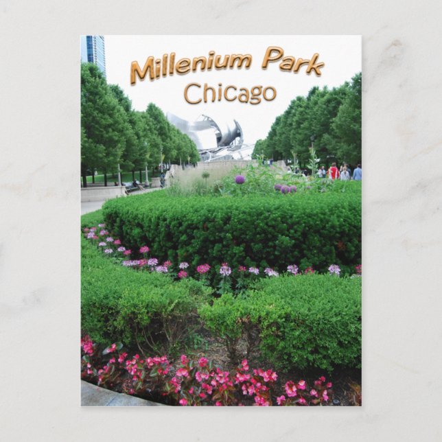 Carte Postale Bandshell Millenium Park (Devant)