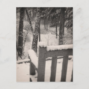 Carte Postale Banquettes couvertes de neige