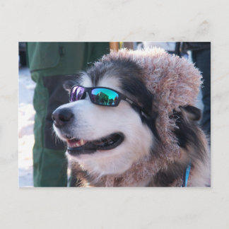 Carte postale Banshee