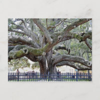 Baranoff Chêne - Port de sécurité, FL