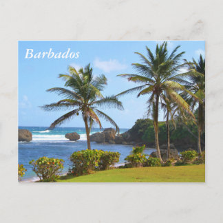 Carte postale, Barbade, Scène de plage, Palmiers