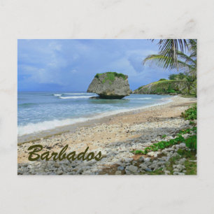 CARTE POSTALE BARBADOS (PLAGE/GRANDE ROCHE)