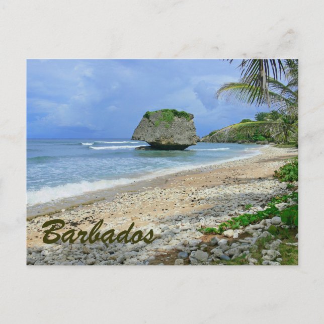 CARTE POSTALE BARBADOS (PLAGE/GRANDE ROCHE) (Devant)