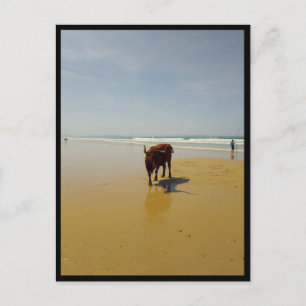 Carte Postale Barbate, Andalousie (Espagne)