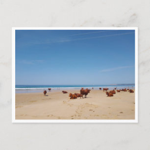 Carte Postale Barbate, Andalousie (Espagne)
