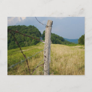 Carte Postale Barbelé Fencepost
