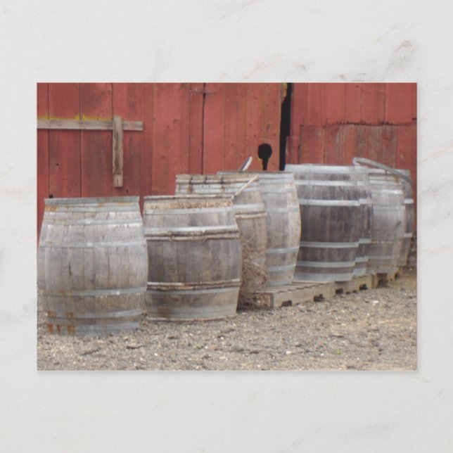 Carte Postale Barils à vin (Devant)