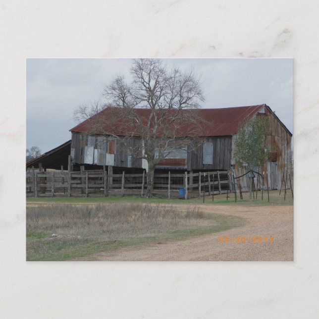 Carte Postale Barn in Central Texas Postcard (Devant)