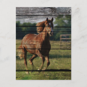 Carte Postale Barn Woodgrain