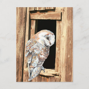 Carte Postale Barne hibou dans Barn Window Animal Nature Art 