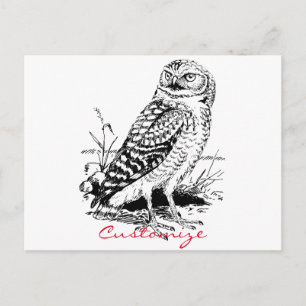 Carte Postale Barne Owl Thunder_Cove