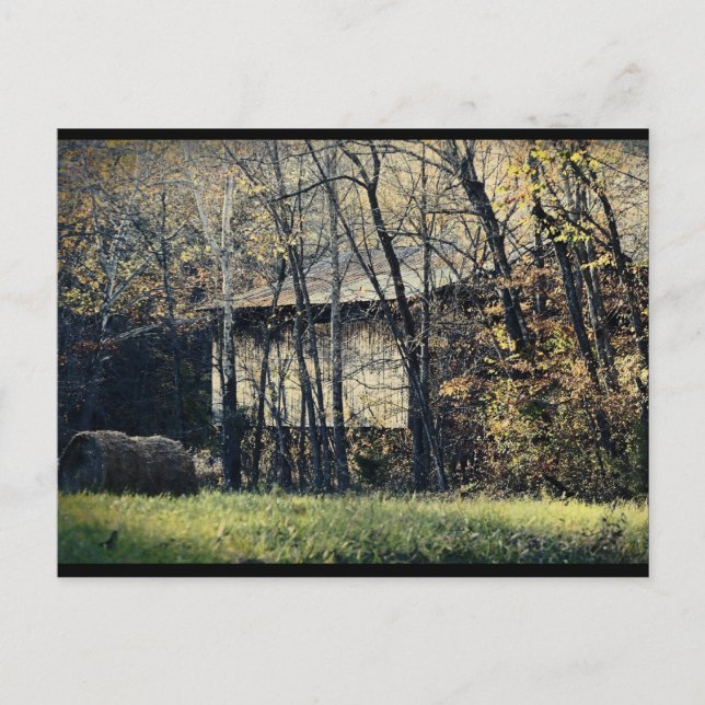 Carte Postale Barne Peek-a-Boo (Devant)