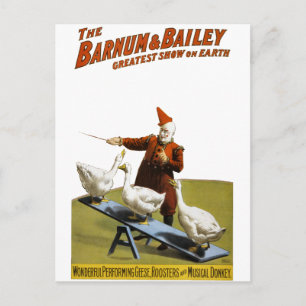 Carte Postale Barnum et Bailey : Interprétation de l'oie
