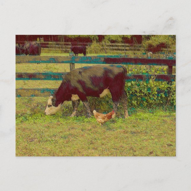 Carte Postale Barnyard Friends Cow & Chicken (Devant)