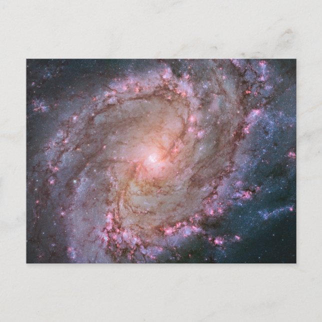 Carte Postale Barred Spiral Galaxy Messier 83. (Devant)