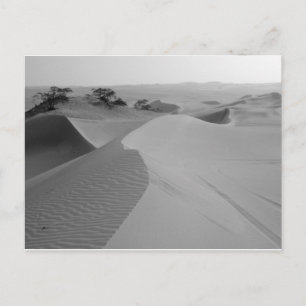 Carte Postale Barren