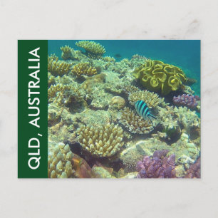 Carte Postale barrière récif queensland