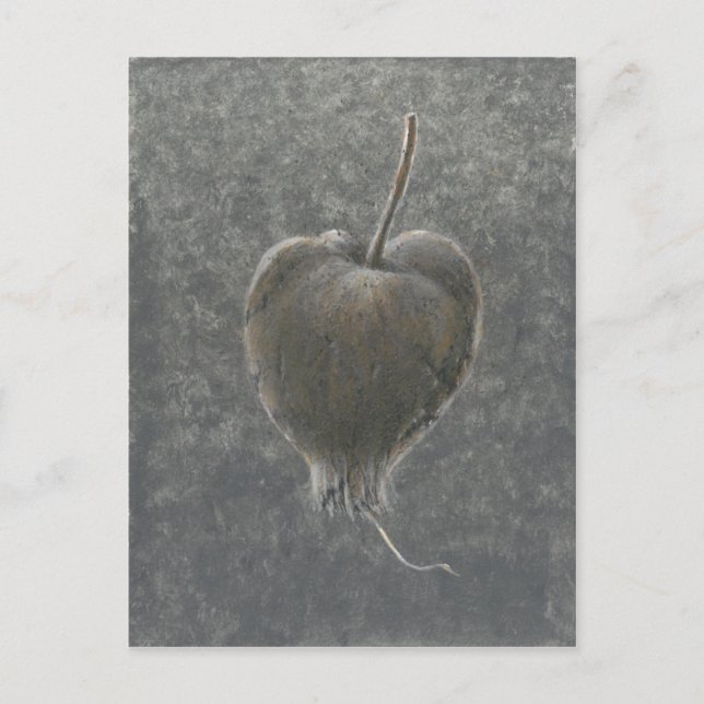 Carte Postale Barringtonia Acutangula 2 (Devant)