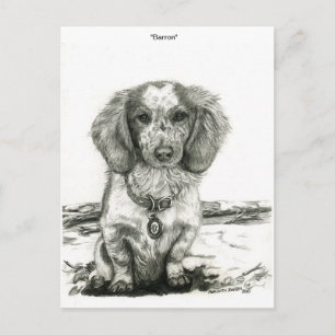 Carte Postale Barron