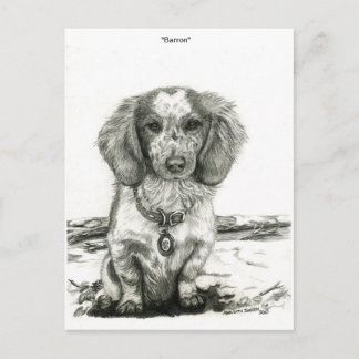 Carte Postale Barron