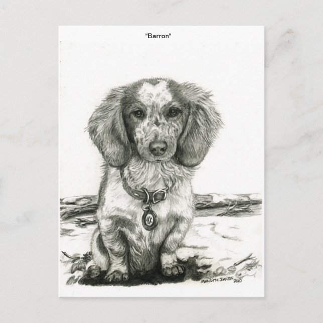 Carte Postale Barron (Devant)