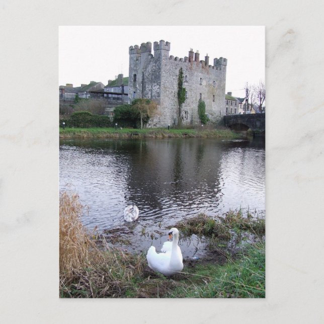 Carte Postale Barrow River Swan, White's Castle Athy Co. Kildare (Devant)