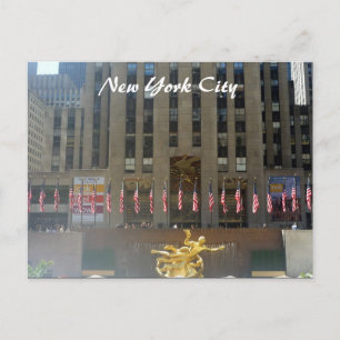 Carte Postale base de corail