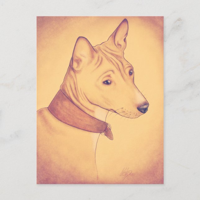 Carte postale Basenji (Devant)