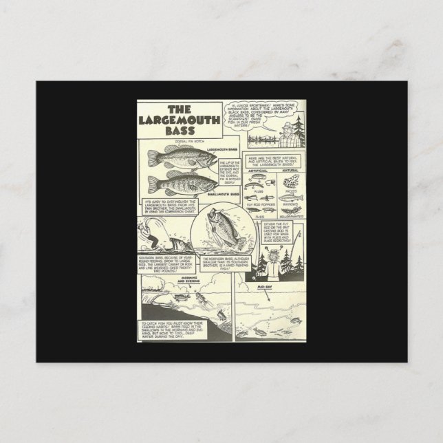 Carte Postale Bass Baits Cute (Devant)