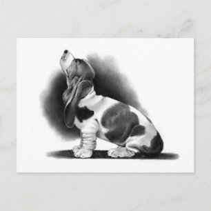 CARTE POSTALE BASSET HORAIRE : RÉALISME PENCILE : POIVRE