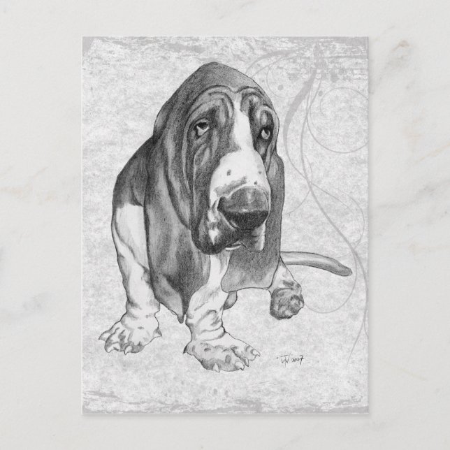 Carte Postale Basset Hound (Devant)