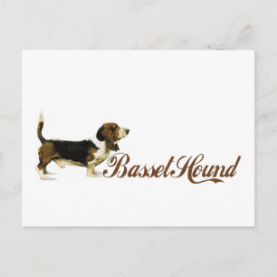 Carte Postale basset hound
