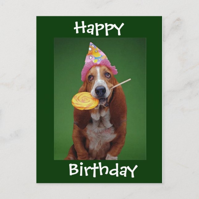 Carte Postale Basset Hound Anniversaire Lollipop (Devant)