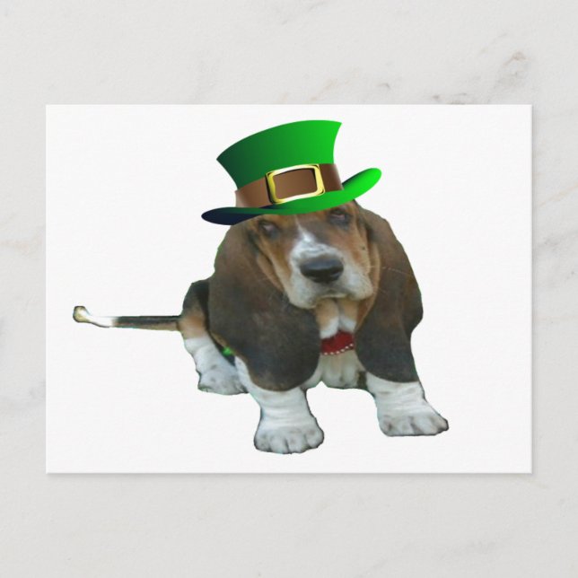Carte postale Basset Hound Bonne StPatrick's Day (Devant)