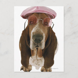 Carte Postale Basset hound en lunettes de soleil et casquette