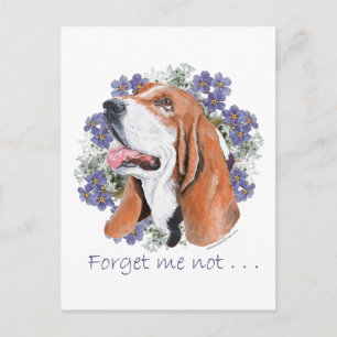Carte Postale Basset Hound Keeps