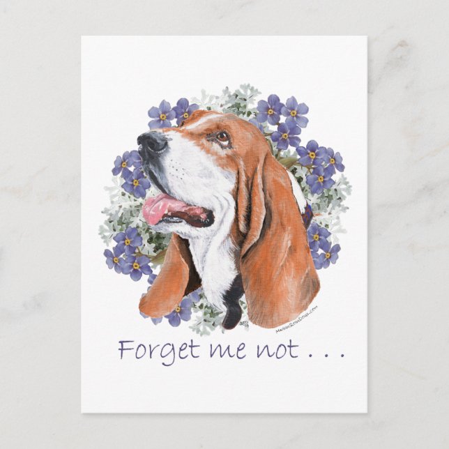 Carte Postale Basset Hound Keeps (Devant)