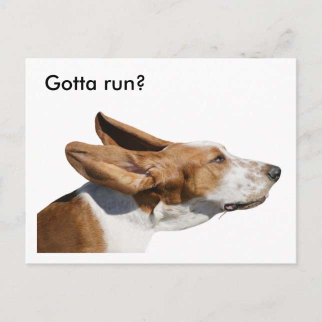 Carte Postale Basset Hound Oars Fléchissant Dans L'Éolien Animau (Devant)