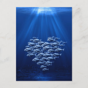 Carte Postale bassin de poissons sous le coeur de l'eau