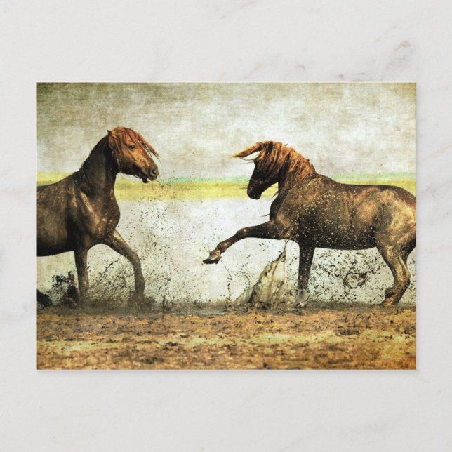 Carte Postale Bataille de Mustang (Devant)