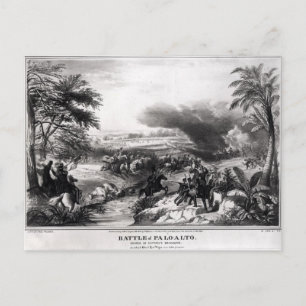 Carte Postale Bataille de Palo Alto