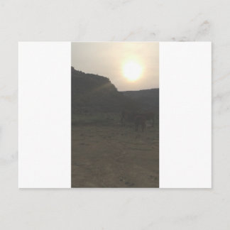 Carte Postale Bataille du coucher du soleil