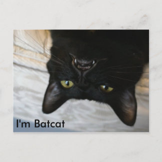 Carte Postale Batcat : Je suis Batcat Postcard